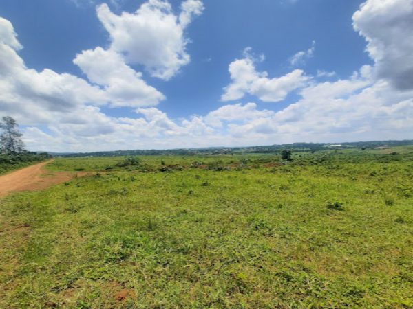 Matugga Estate