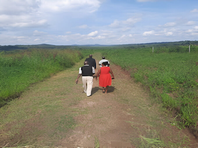 Bulamu Estate