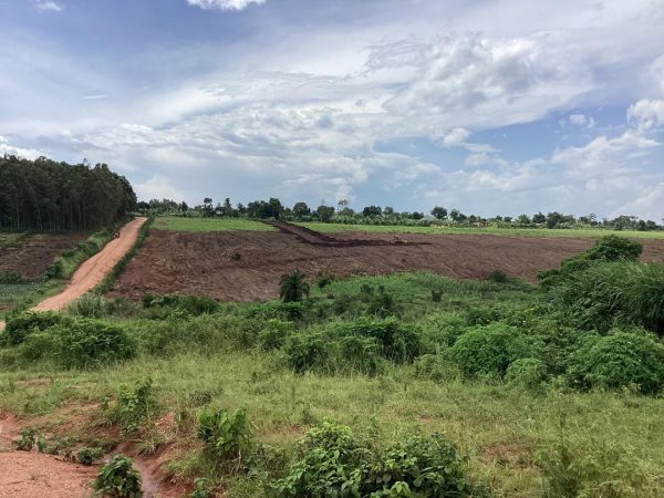 Matugga- Mabanga Estate