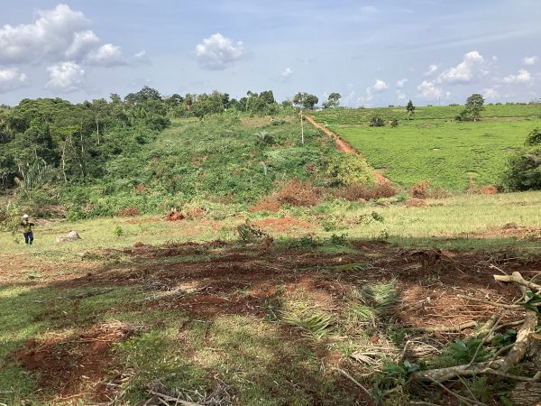 Mukono Estate